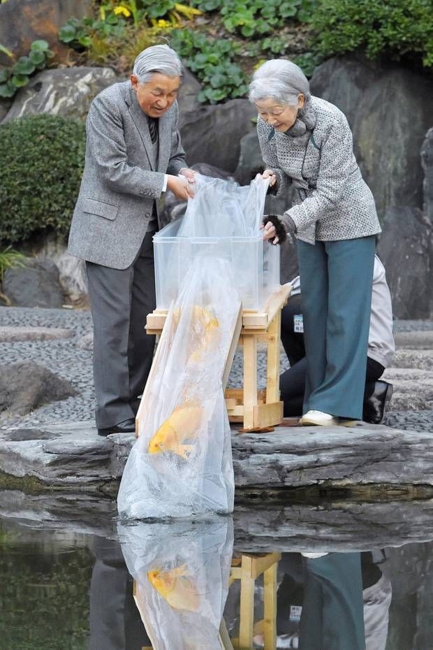 Kaisar Akihito dan Putri Michoko melepaskan ikan koi